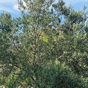 Meet your Posher, Ma beth